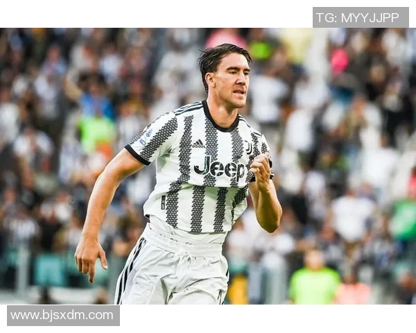 弗拉霍维奇：从天才前锋到足球巨星的蜕变之路与未来展望