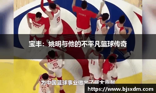 宝丰：姚明与他的不平凡篮球传奇