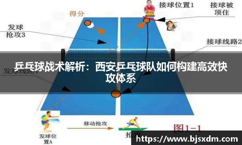 乒乓球战术解析：西安乒乓球队如何构建高效快攻体系