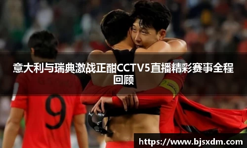 意大利与瑞典激战正酣CCTV5直播精彩赛事全程回顾